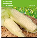 Buzzy Suikermais Zaden Glacial