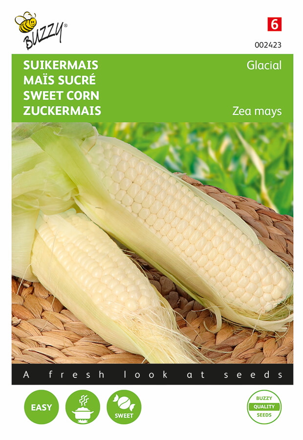 Buzzy Suikermais Zaden Glacial