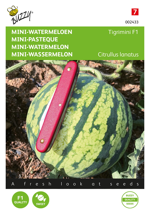 Buzzy Mini Watermeloen Zaden Tigrimini F1