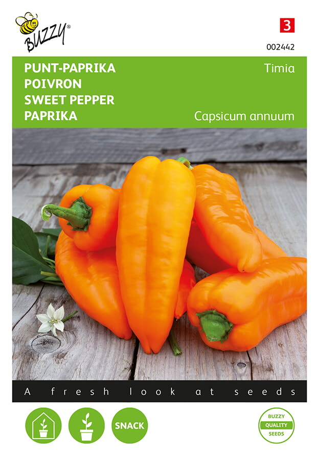 Buzzy Puntpaprika Zaden Timia Oranje