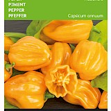 Buzzy Peper Zaden Habanero Oranje