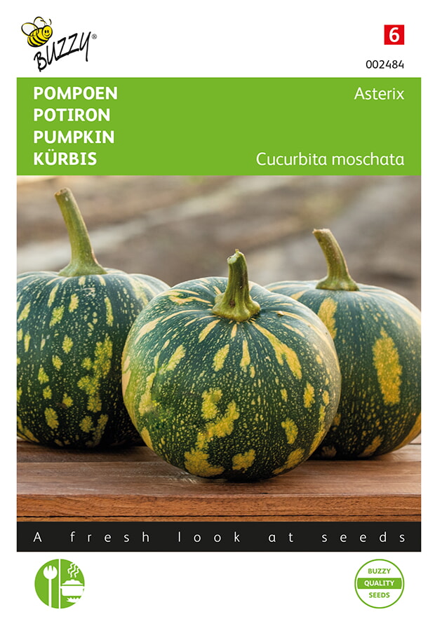 Buzzy Pompoen Zaden Asterix Panterprint