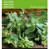 Buzzy Postelein Zaden Groene