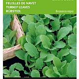 Buzzy Raapsteel Zaden Groene Gewone