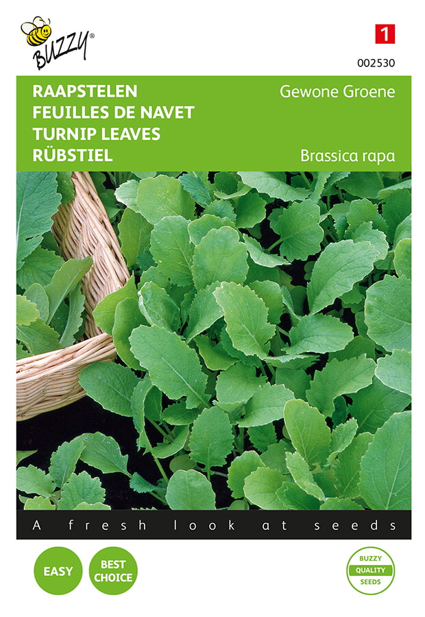 Buzzy Raapsteel Zaden Groene Gewone