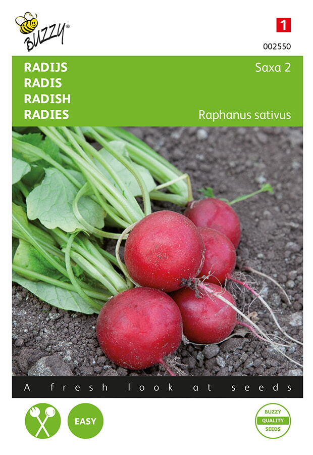 Buzzy Radijs Zaden Saxa 2