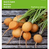 Buzzy Radijs Zaden Zlata Gele Ronde
