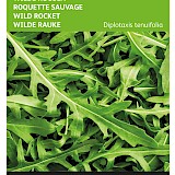 Buzzy Rucola Zaden Selvatica