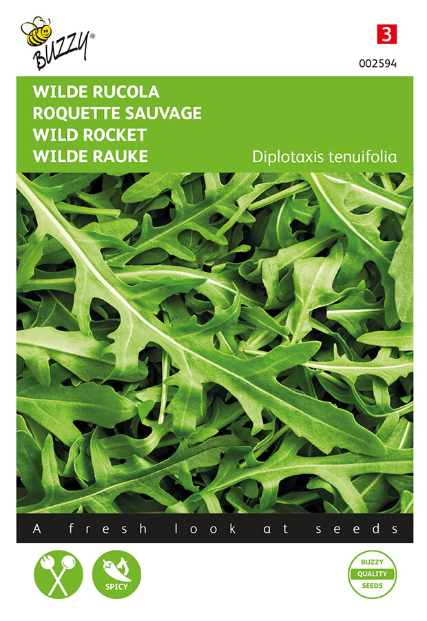 Buzzy Rucola Zaden Selvatica