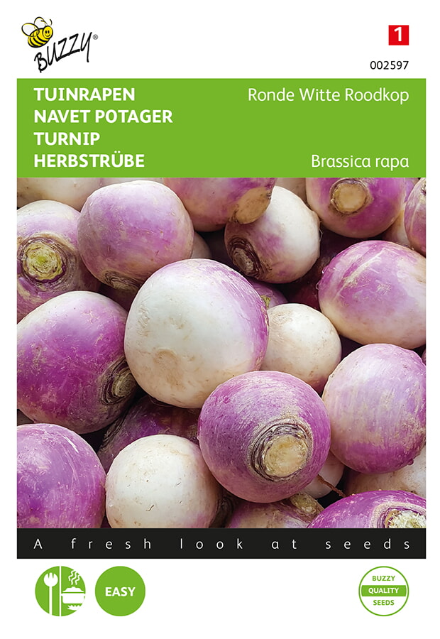 Buzzy Raap Zaden Ronde Witte Roodkop De Nancy