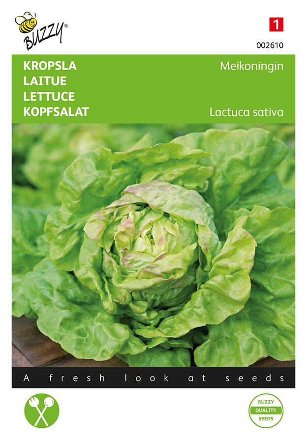 Buzzy Kropsla Zaden Meikoningin