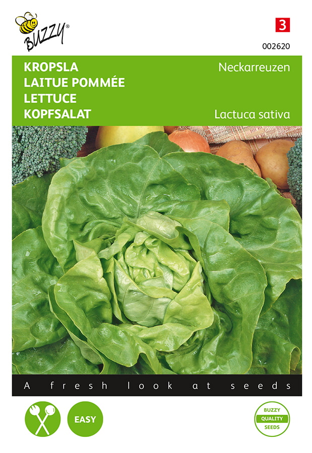 Buzzy Kropsla Zaden Neckarreuze Zomerdiamant