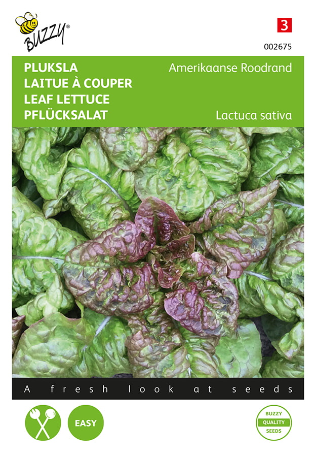 Buzzy Pluksla Zaden Amerikaanse Roodrand
