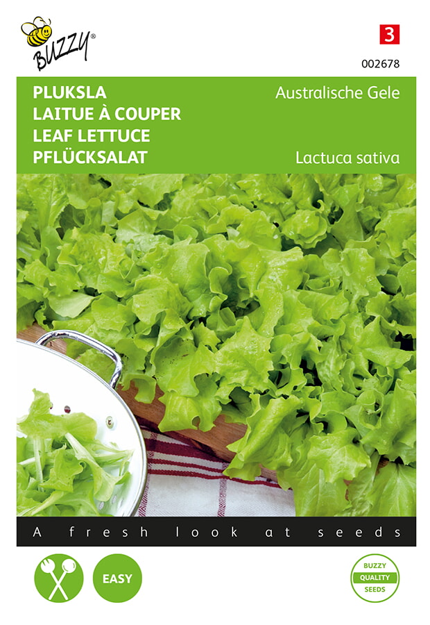 Buzzy Pluksla Zaden Australische Gele