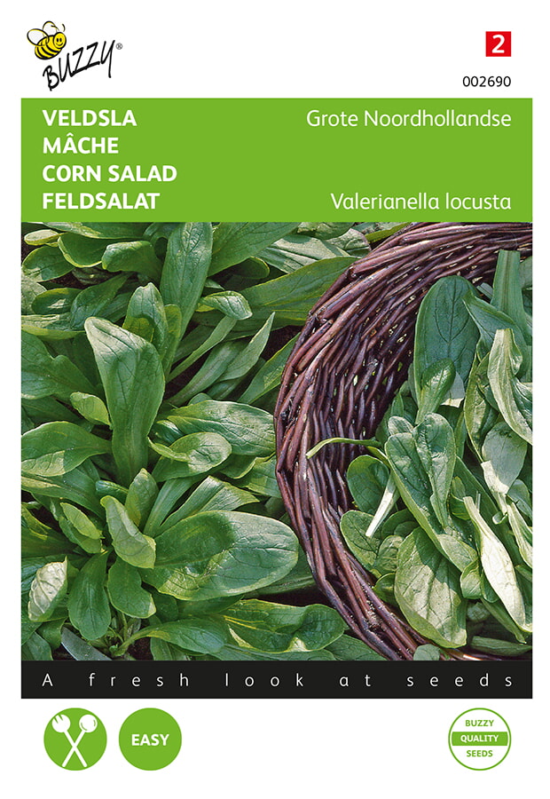 Buzzy Veldsla Zaden Grote Noordhollandse