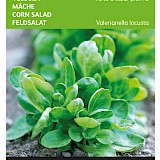 Buzzy Veldsla Zaden Groene Volhart 2