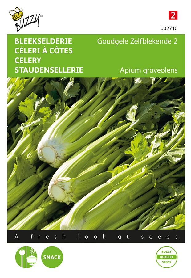 Buzzy Bleekselderij Zaden Goudgele Zelfblekende 2