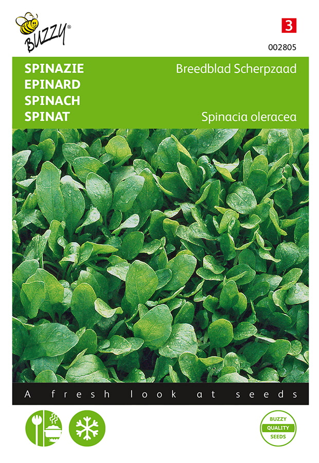 Buzzy Spinazie Zaden Breedblad Scherpzaad