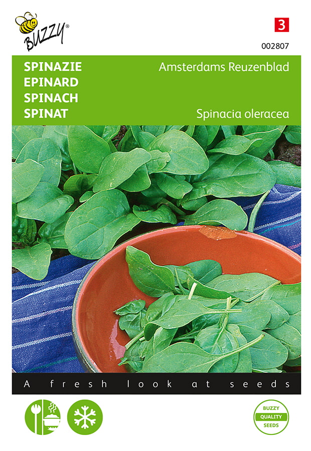 Buzzy Spinazie Zaden Amsterdams Reuzenblad Scherpzaad