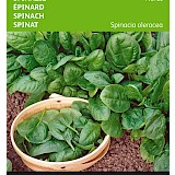 Buzzy Spinazie Zaden Nores