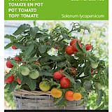 Buzzy Kerstomaat Zaden Gourmandise Yellow
