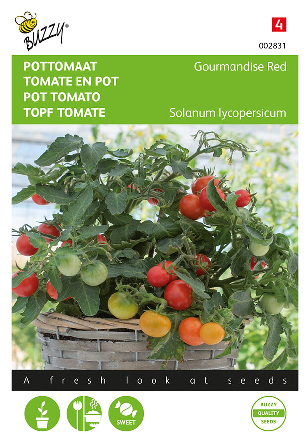 Buzzy Kerstomaat Zaden Gourmandise Yellow