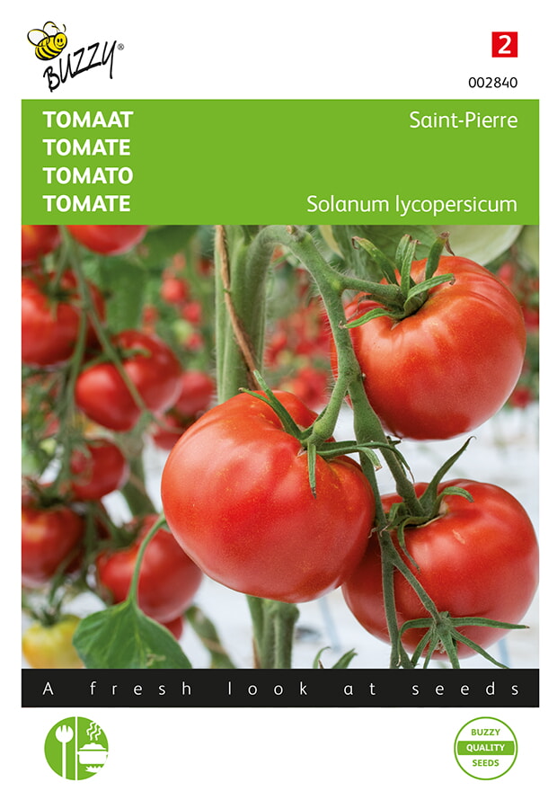 Buzzy Tomaat Zaden Saint Pierre