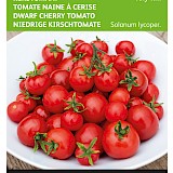 Buzzy Kerstomaat Zaden Tiny Tim