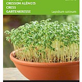 Buzzy Tuinkers Zaden Gewone