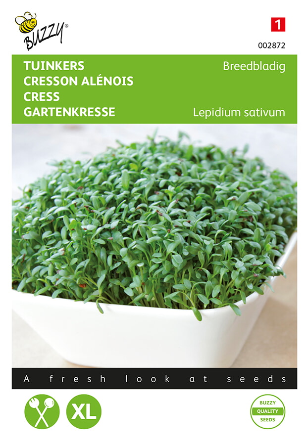 Buzzy Tuinkers Zaden Breedbladig