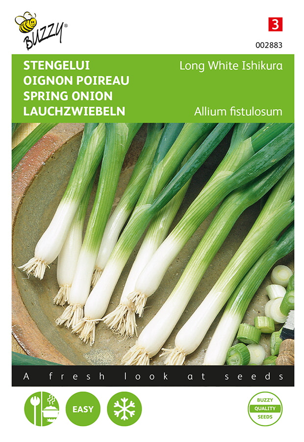 Buzzy Stengelui Zaden Long White Ishikura