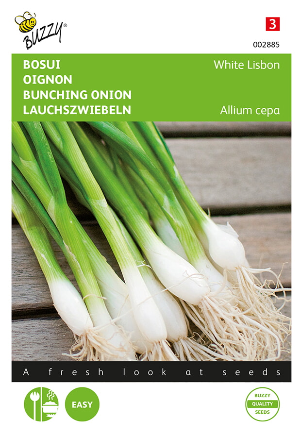 Buzzy Bosui Zaden White Lisbon