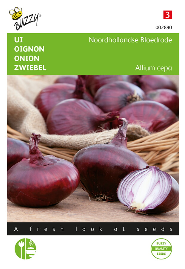 Buzzy Ui Zaden Noordhollandse Bloedrode