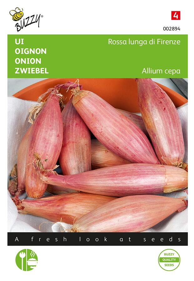 Buzzy Ui Zaden Rossa Lunga di Firenze