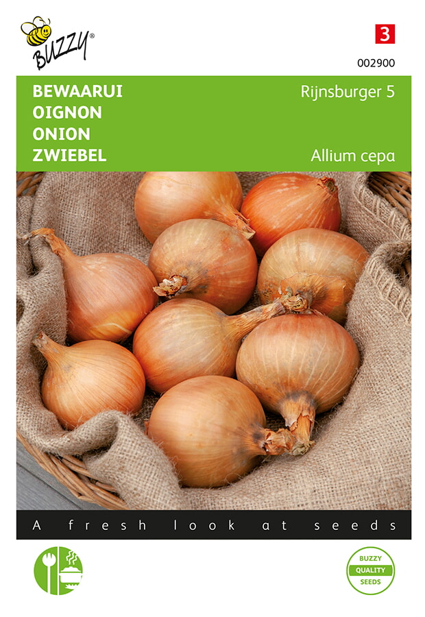 Buzzy Bewaarui Zaden Rijnsburger 5