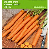 Buzzy Zomerwortel Zaden Amsterdamse Bak 2