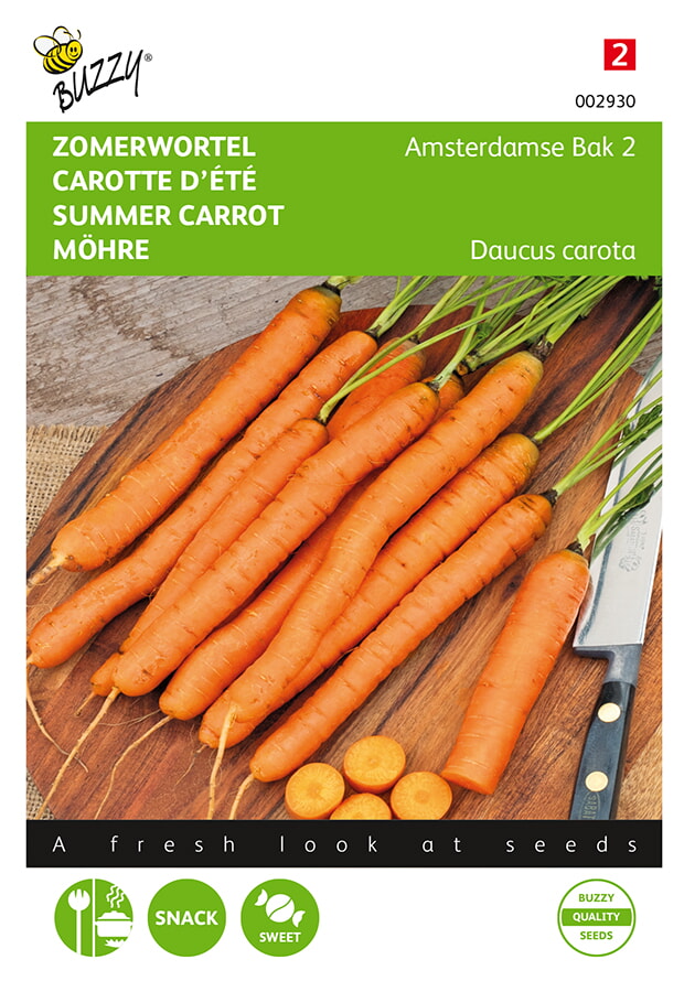 Buzzy Zomerwortel Zaden Amsterdamse Bak 2