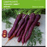 Buzzy Zomerwortel Zaden Purple Sun F1