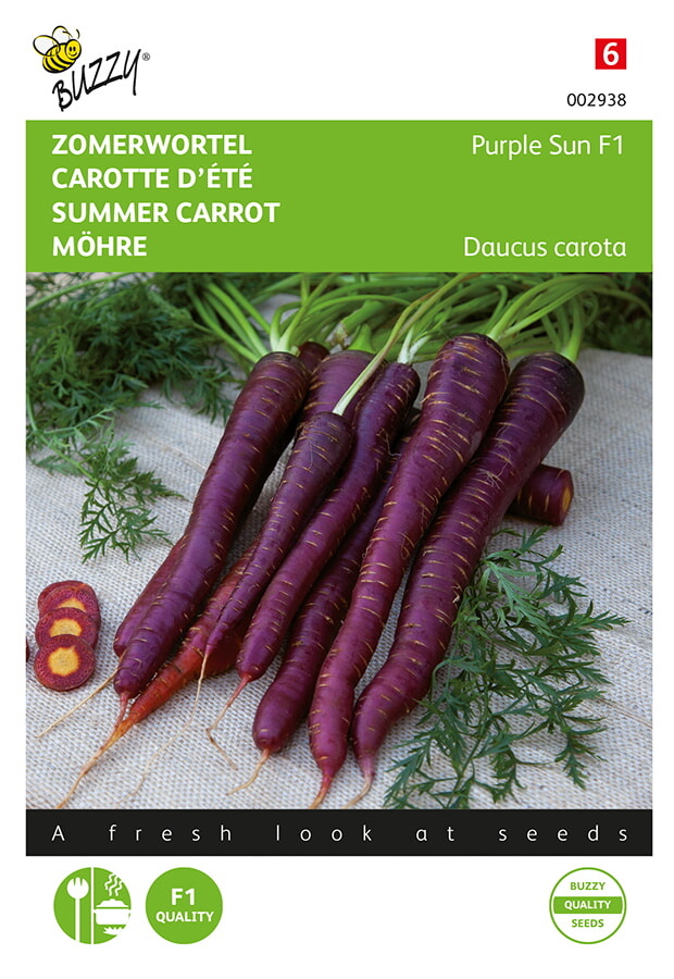 Buzzy Zomerwortel Zaden Purple Sun F1