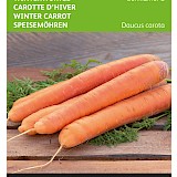Buzzy Winterwortel Zaden Berlikumer 2