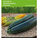 Buzzy Courgette Zaden Diamant F1