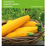 Buzzy Courgette Zaden Gold Rush F1