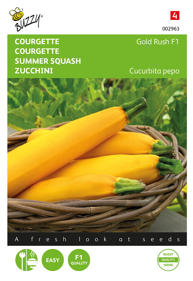 Buzzy Courgette Zaden Gold Rush F1