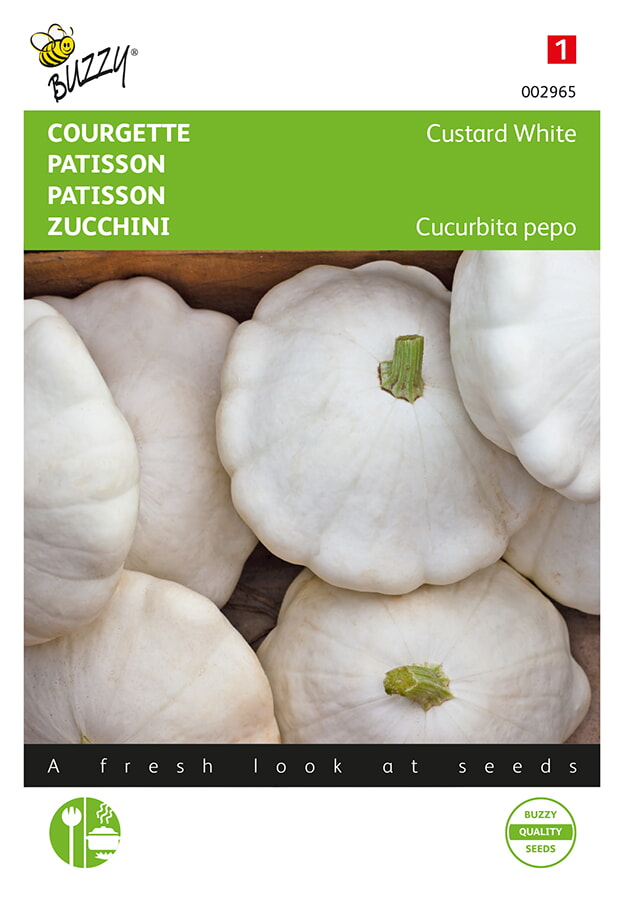 Buzzy Courgette Zaden Custard White
