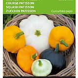 Buzzy Courgette Zaden Patisson Colour Mix