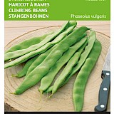 Buzzy Stoksnijbonen Zaden Raadsheer