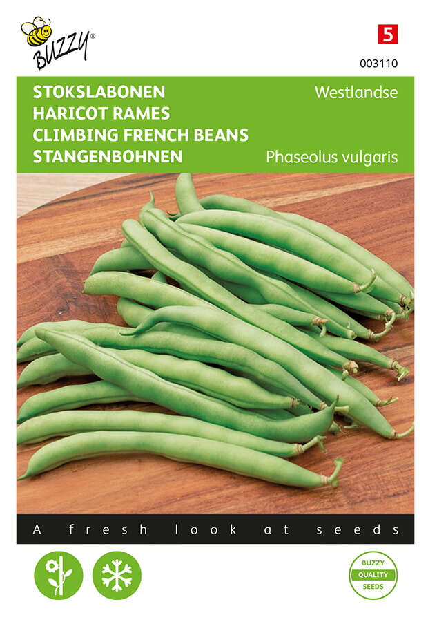 Buzzy Stokslabonen Zaden Westlandse
