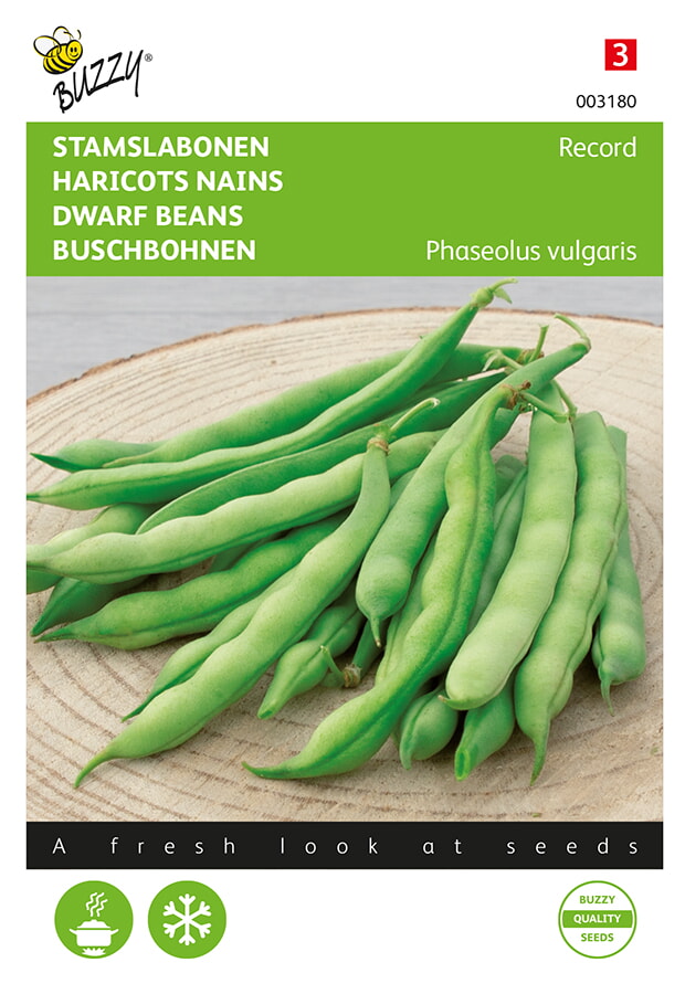 Buzzy Stamslabonen Zaden Record