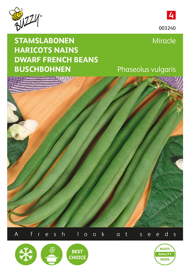 Buzzy Stamslabonen Zaden Miracle