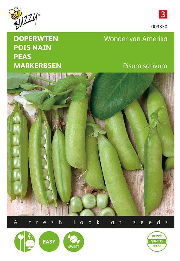 Buzzy Doperwten Zaden Wonder van Amerika